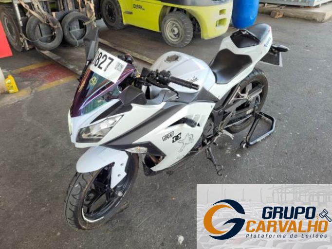 KAWASAKI NINJA 300 13/13